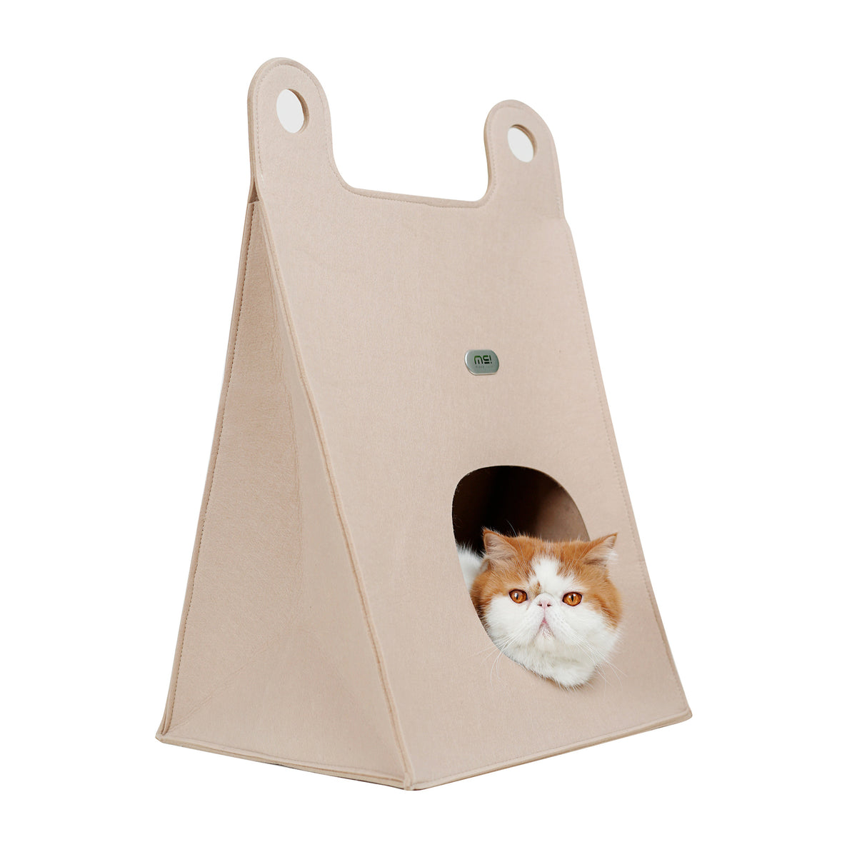 Sassy in our 40s