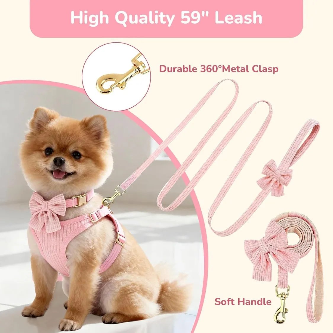  Sassy in our 40s